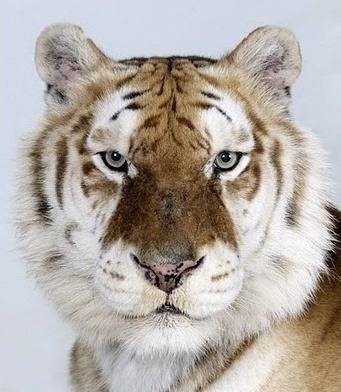 증명사진인데 누가 제일 잘생겼어? | 인스티즈