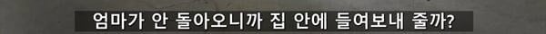 아기 고양이 냥줍했는데 반응 난리난 일본 유튜버.jpg | 인스티즈