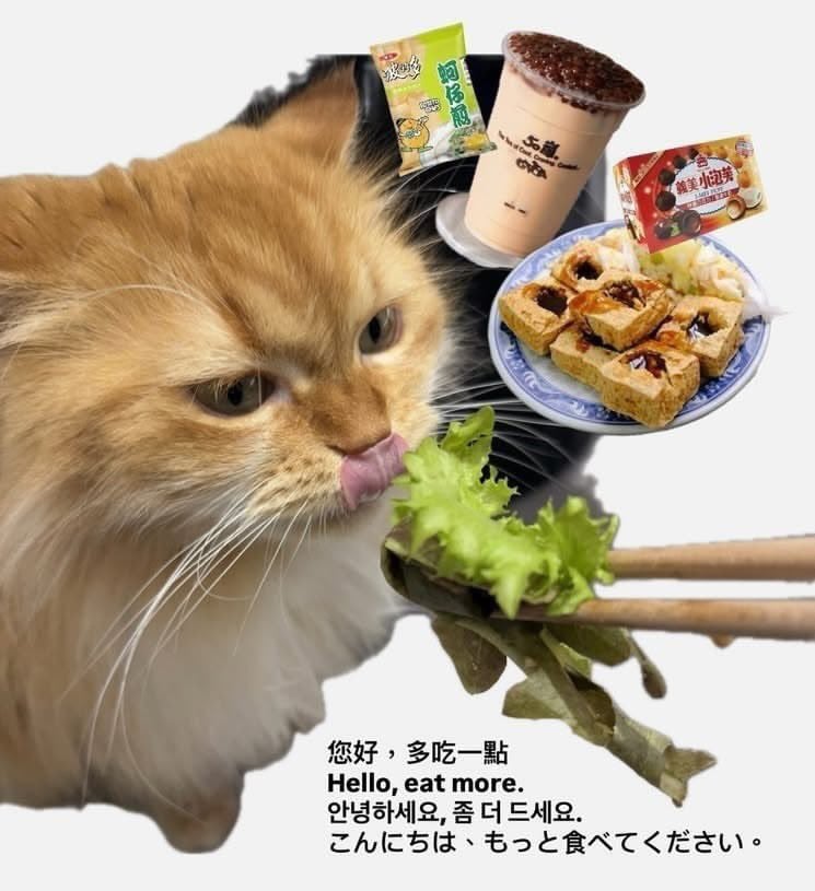 대만사람들이 먹지 말라는 음식 | 인스티즈