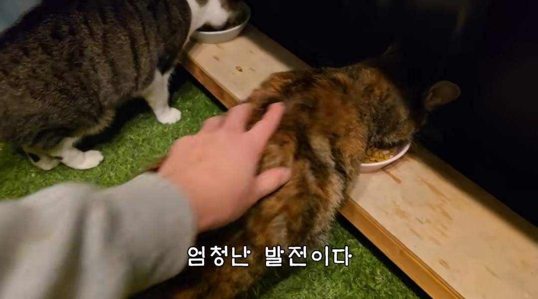 5년만에 haha ha에게 마음을 연 카오 | 인스티즈