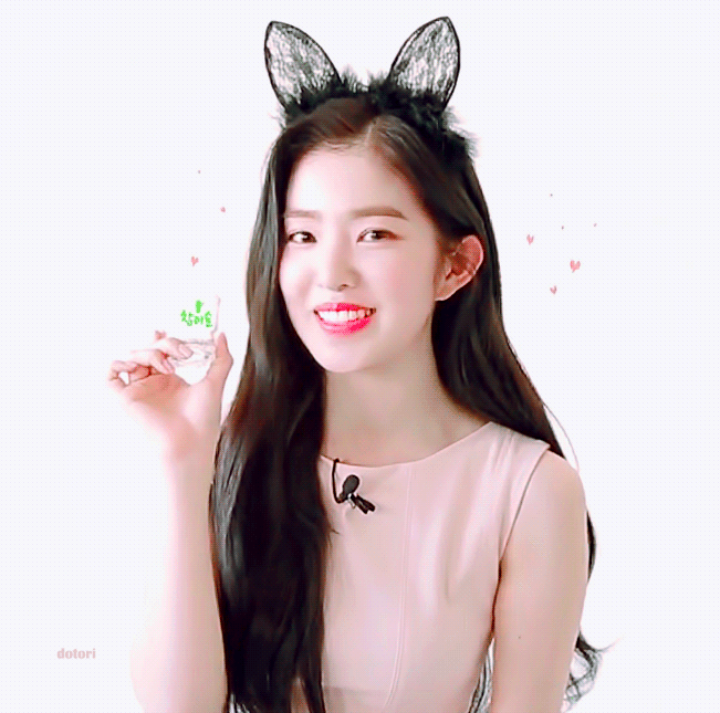 고양이 아이린.gif | 인스티즈