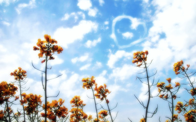 시 구절 같은 좋은 노래 가사들 jpg | 인스티즈