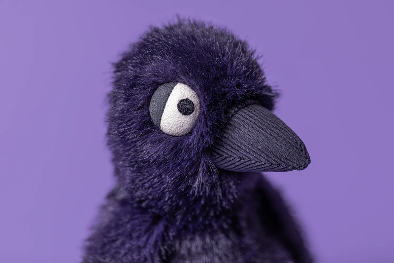 시무룩하게 생겨서 화제된 까마귀(Hocus crow) 인형 | 인스티즈