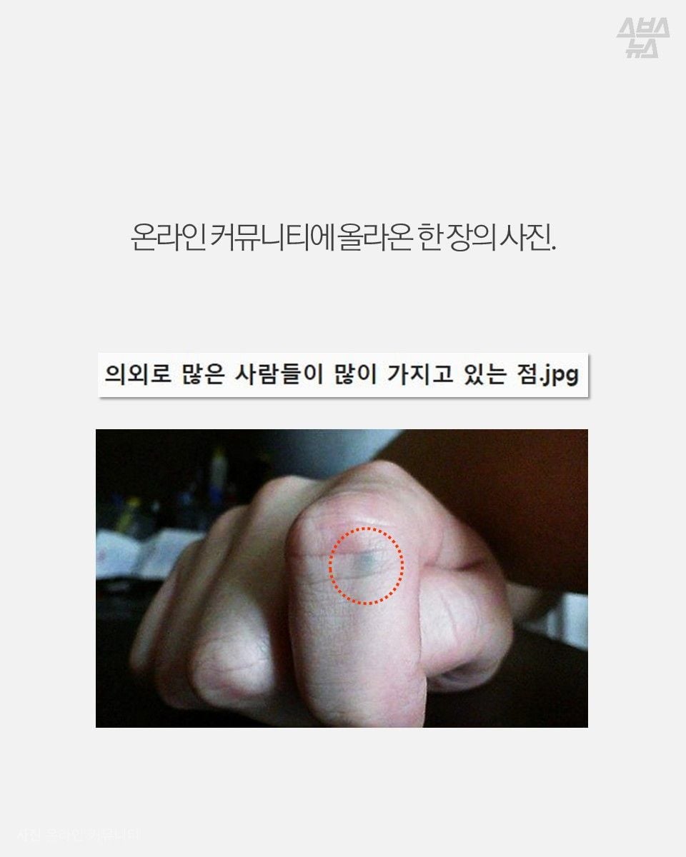 자기몸에 하나씩 있다는 연필심 점 | 인스티즈