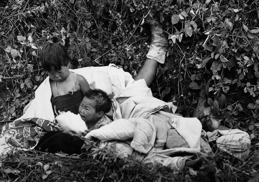 한국전쟁 사진 (잔인한 사진주의) | 인스티즈