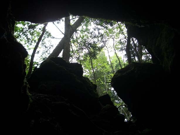 일본의 죽음의 숲 (일본 내 자살1위) 아오키가하라 사진. (시체 , 심약자, 비위약한사람들 보면안됨) | 인스티즈