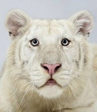 증명사진인데 누가 제일 잘생겼어? | 인스티즈