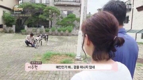 편견없는 한국인들.jpg | 인스티즈