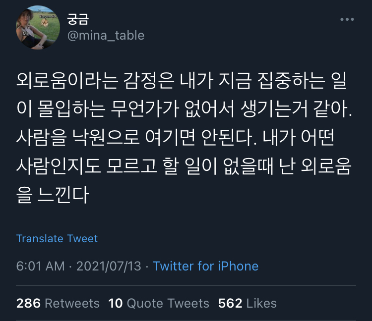 언니, 인생은 결국 혼자야.twt | 인스티즈