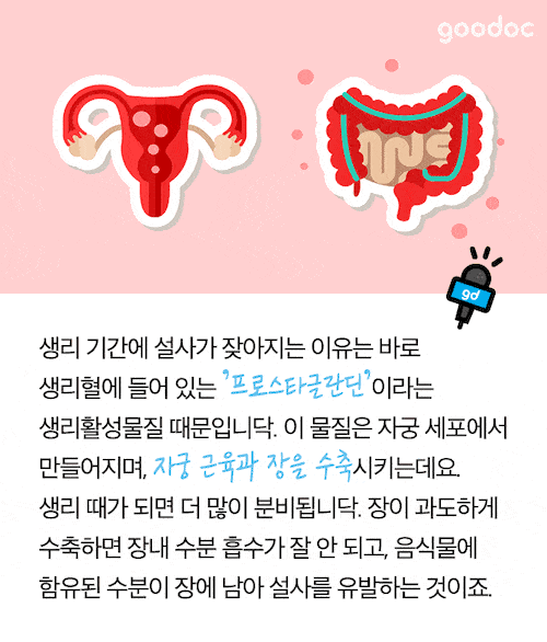 생리할 때 똥이 잘나오는 이유는? | 인스티즈