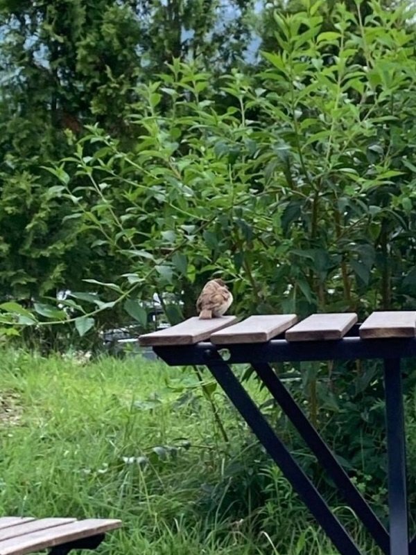 어느 감자빵 맛집에 붙은 경고문 | 인스티즈