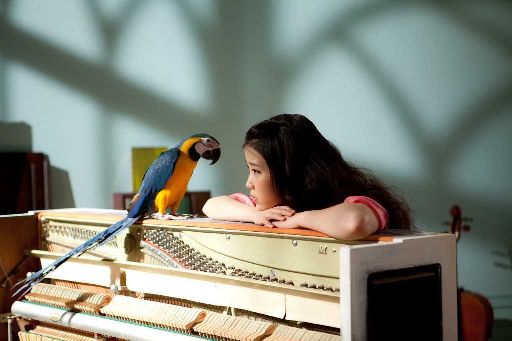 아이유 고화질 배경화면 모음 (데이터 테러 주의) | 인스티즈