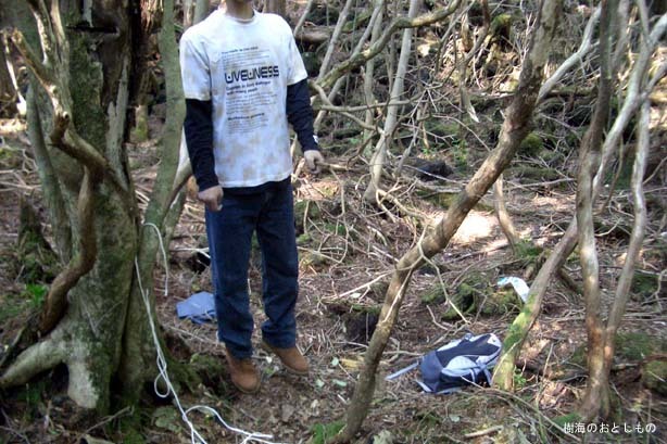 일본의 죽음의 숲 (일본 내 자살1위) 아오키가하라 사진. (시체 , 심약자, 비위약한사람들 보면안됨) | 인스티즈
