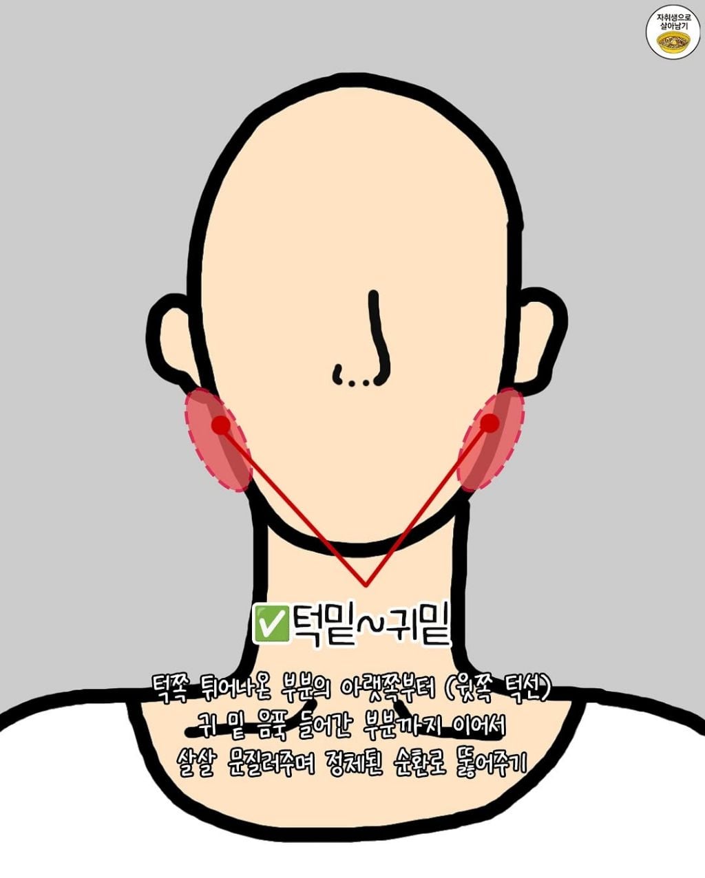 잘 풀어주면 진짜 얼굴 작아진다는 이곳들 | 인스티즈