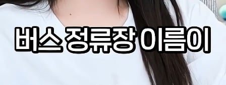 그동안 대구만 혼자 좋은 버정 쓰고 있었음 | 인스티즈