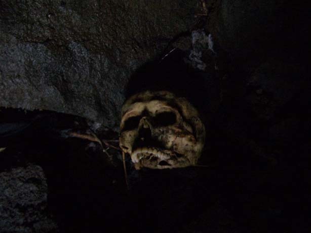 일본의 죽음의 숲 (일본 내 자살1위) 아오키가하라 사진. (시체 , 심약자, 비위약한사람들 보면안됨) | 인스티즈