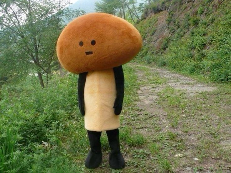 단점쓰면 장점으로 바꿔주자(말대꾸금지) | 인스티즈