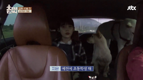 [효리네민박] 아이유 팬을 바라보던 이효리. jpg | 인스티즈