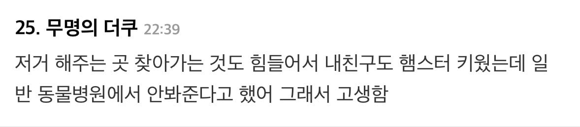 햄스터 깁스 47만원.jpg | 인스티즈