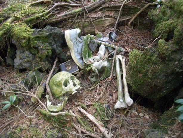 일본의 죽음의 숲 (일본 내 자살1위) 아오키가하라 사진. (시체 , 심약자, 비위약한사람들 보면안됨) | 인스티즈