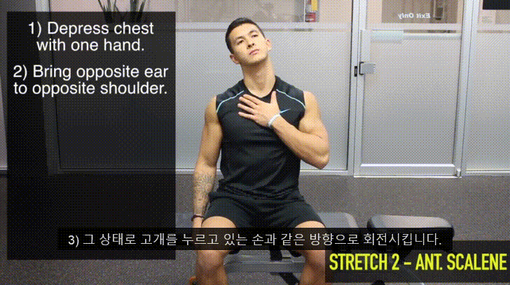 거북목을 고쳐봅시다. 2탄 (0. 거북목과 이중턱 1.턱 운동에 대해 2.턱운동 해보기) - 데이터 스압주의 | 인스티즈