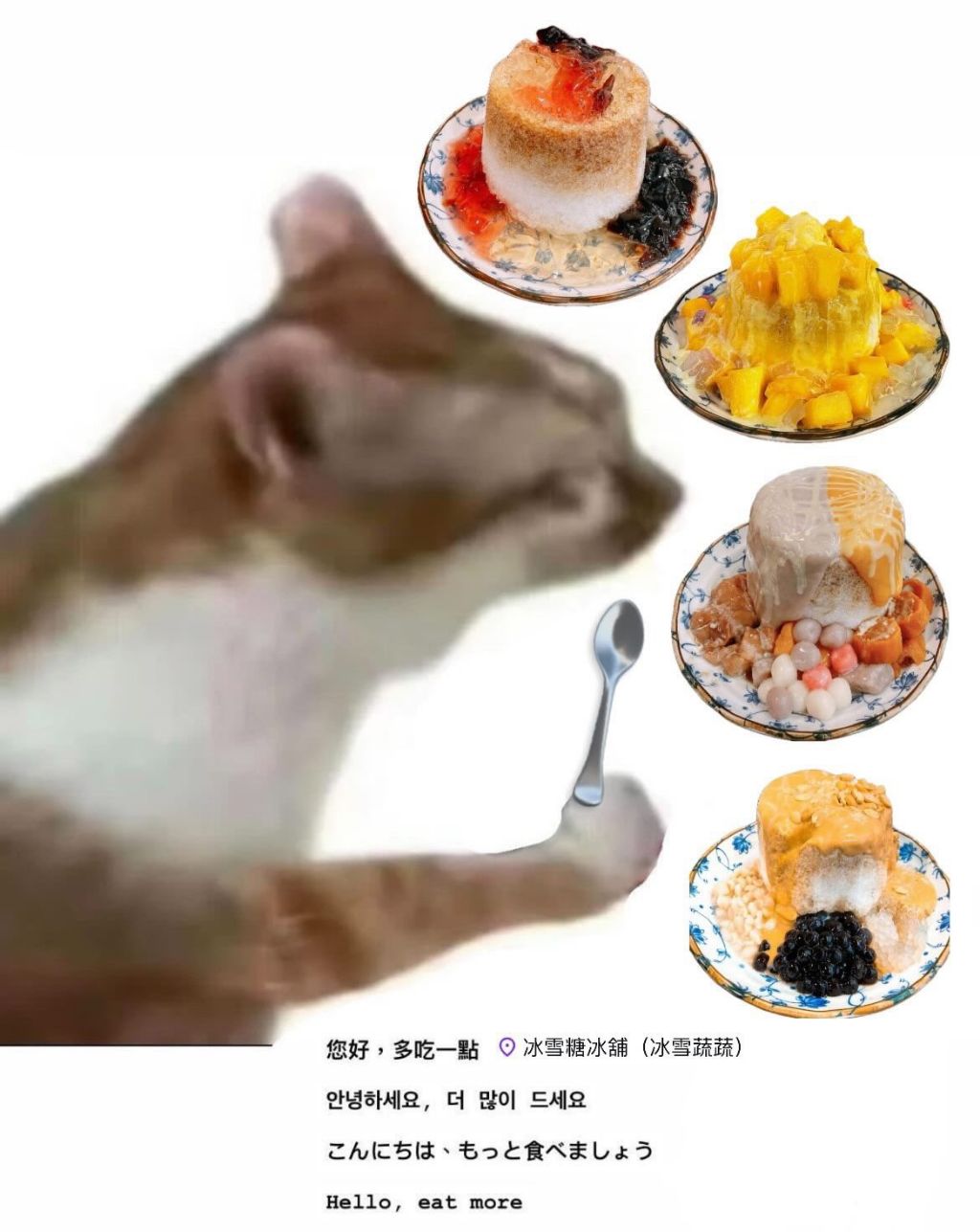 대만사람들이 먹지 말라는 음식 | 인스티즈