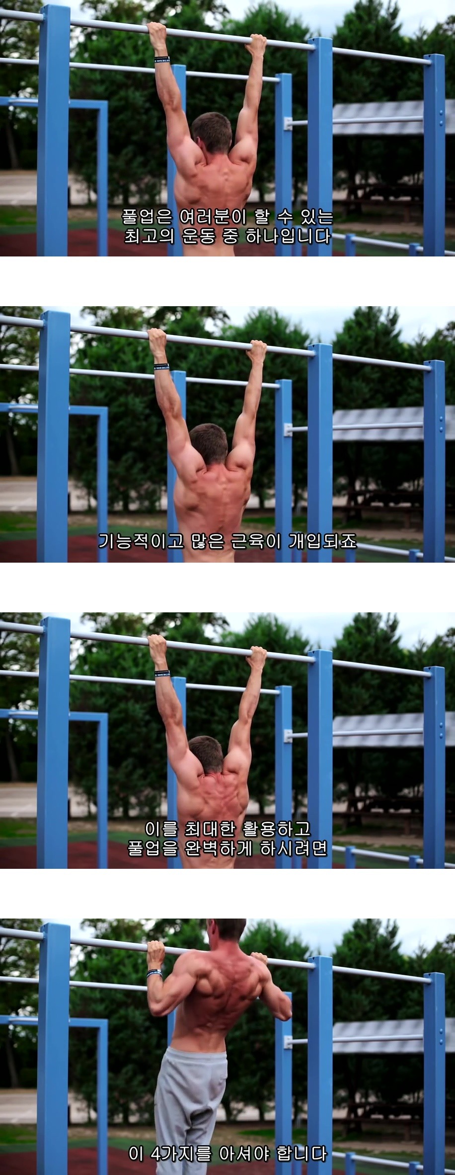 퍼펙트 풀업 (정자세 턱걸이) 하는법.jpg,gif | 인스티즈