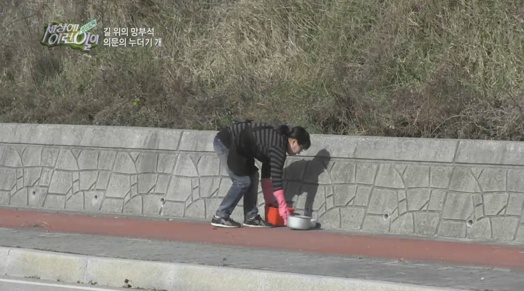 [세상에이런일이] 도로위에 망부석이 되서 주인을 기다리는 강아지.jpg | 인스티즈