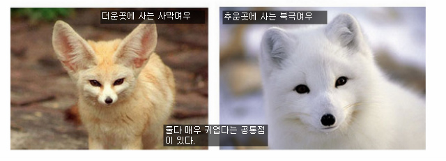 동양인과 서양인의 체형은 왜 다를까?? | 인스티즈