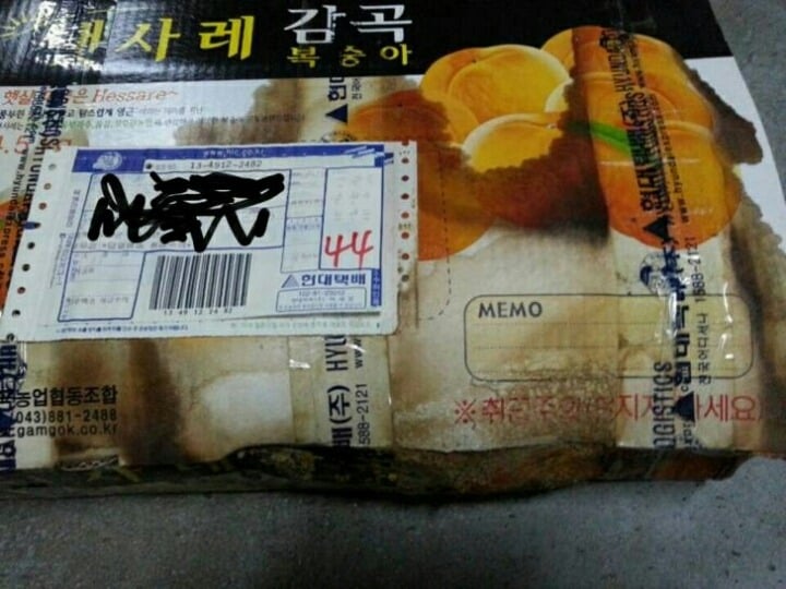 2009년에 보낸 복숭아 택배를 오늘 받았습니다..jpg | 인스티즈