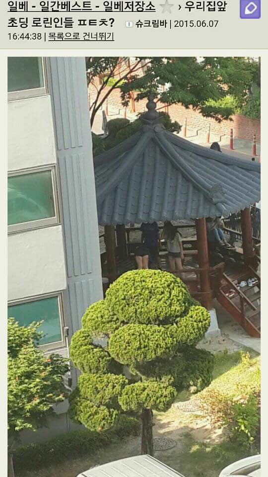텍혐주의) 일베에 로린이를 검색해보았다 | 인스티즈