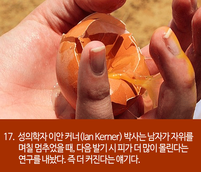 발기에 대한 흥미로운 22가지 사실들 | 인스티즈