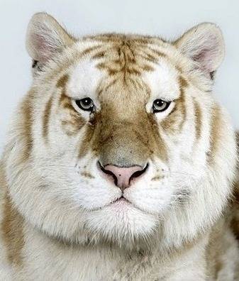 증명사진인데 누가 제일 잘생겼어? | 인스티즈