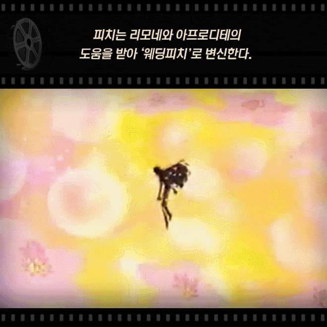 웨딩피치 충격 결말 | 인스티즈