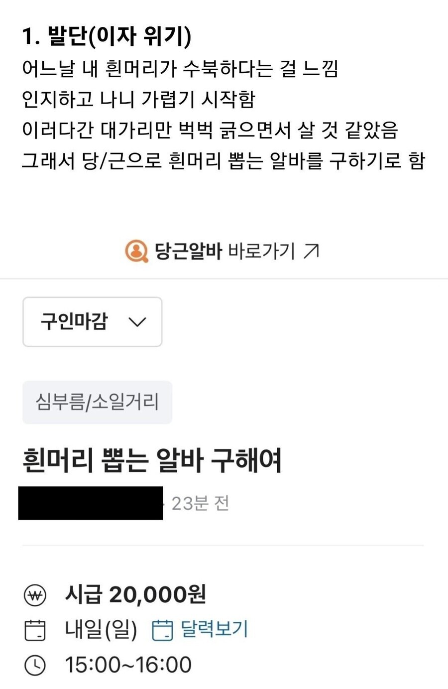 시급 2만원짜리 흰머리 뽑는 알바 채용 후기 | 인스티즈