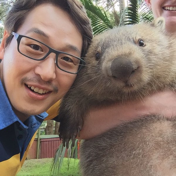 네모난 똥을 싸는 호주의 대표 귀염둥이 동물...jpg | 인스티즈