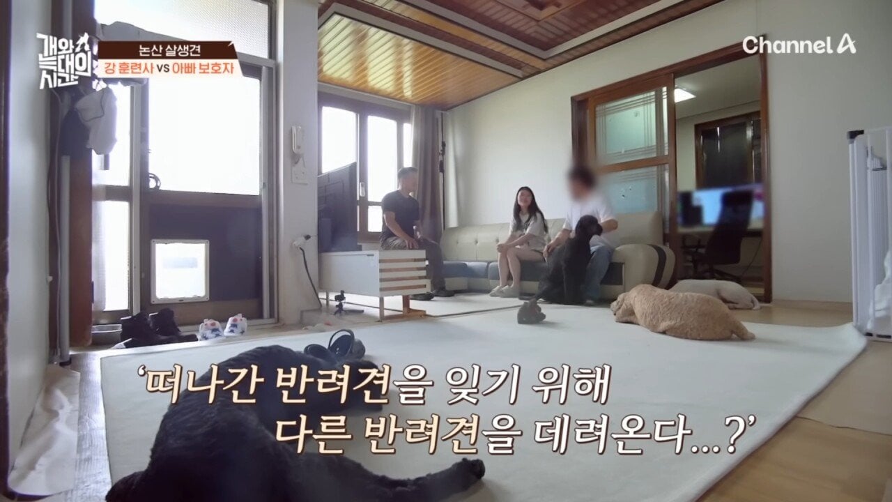 집에 개 유골함 4개를 본 강형욱 | 인스티즈