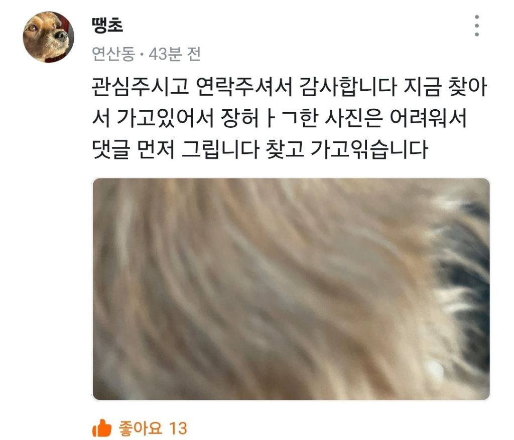 유실된지 2년만에 찾은 강아지 땡초 | 인스티즈