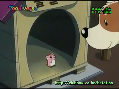 친구가 내 햄스터 보더니 저녁때까지만 자기가 데리고 있겠다고 고집부려서 허락했는데... | 인스티즈