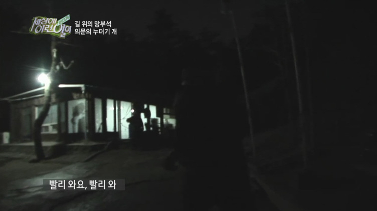 [세상에이런일이] 도로위에 망부석이 되서 주인을 기다리는 강아지.jpg | 인스티즈