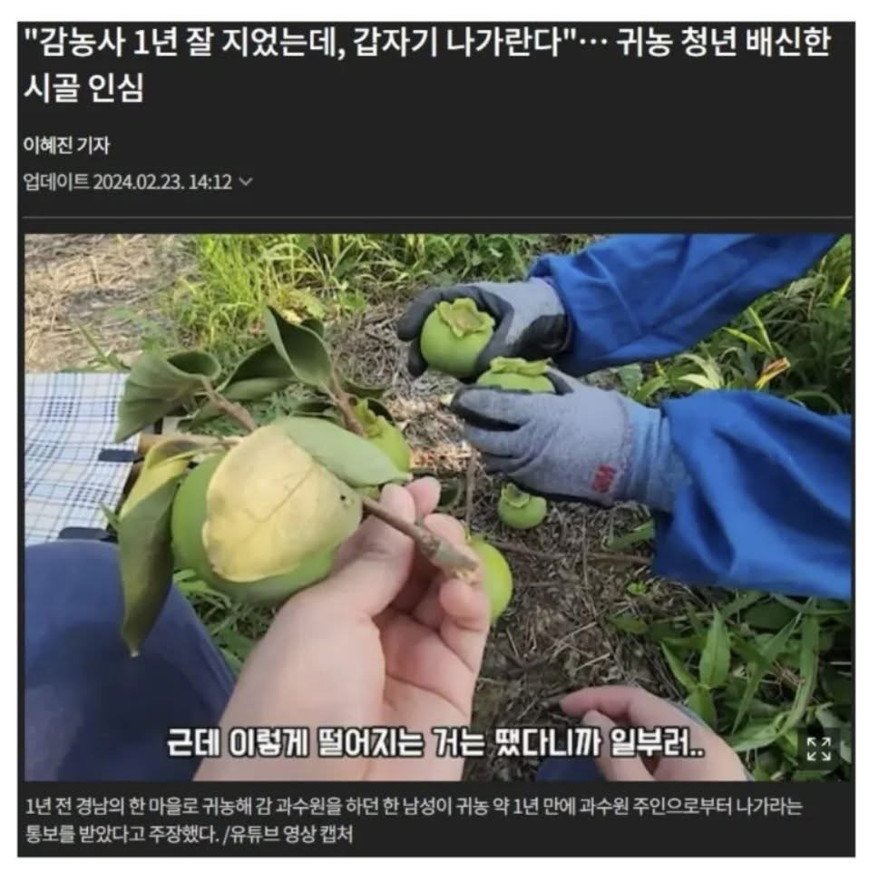 한국 시골에서 지옥도를 걷고 있는 귀농 유튜버 | 인스티즈