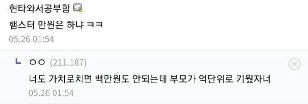 햄스터 깁스 47만원.jpg | 인스티즈
