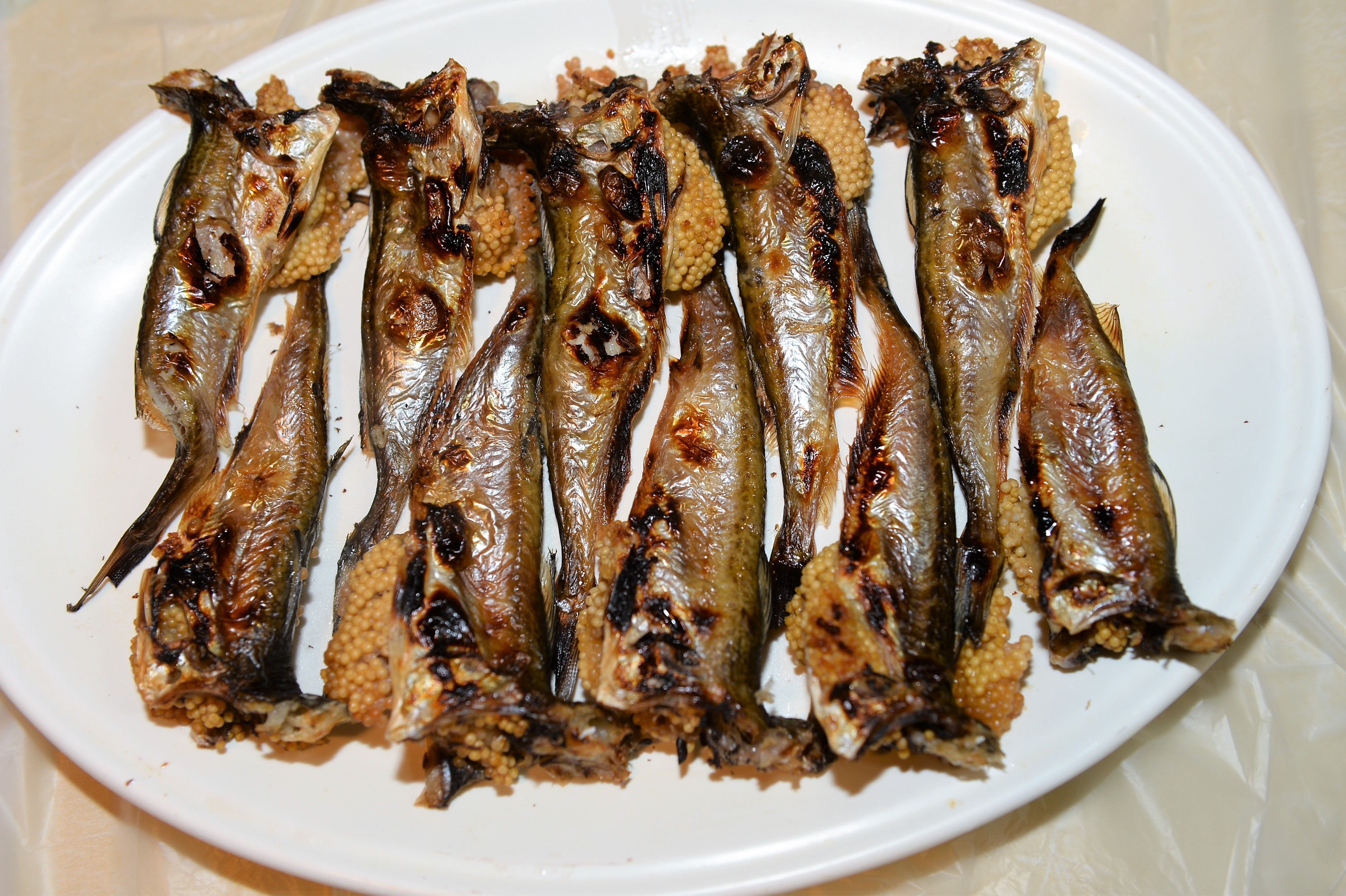 도루묵은 묵이 아니야 | 인스티즈