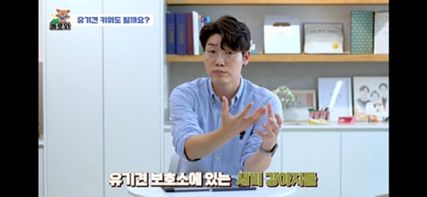 견주 초보일 수록 유기견이 좋은 이유 | 인스티즈