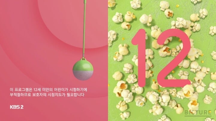새롭게 개편된 KBS2 시청등급고지화면.jpg | 인스티즈