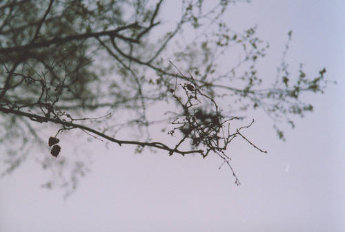 시 구절 같은 좋은 노래 가사들 jpg | 인스티즈