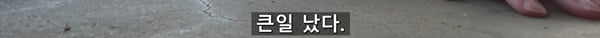 아기 고양이 냥줍했는데 반응 난리난 일본 유튜버.jpg | 인스티즈