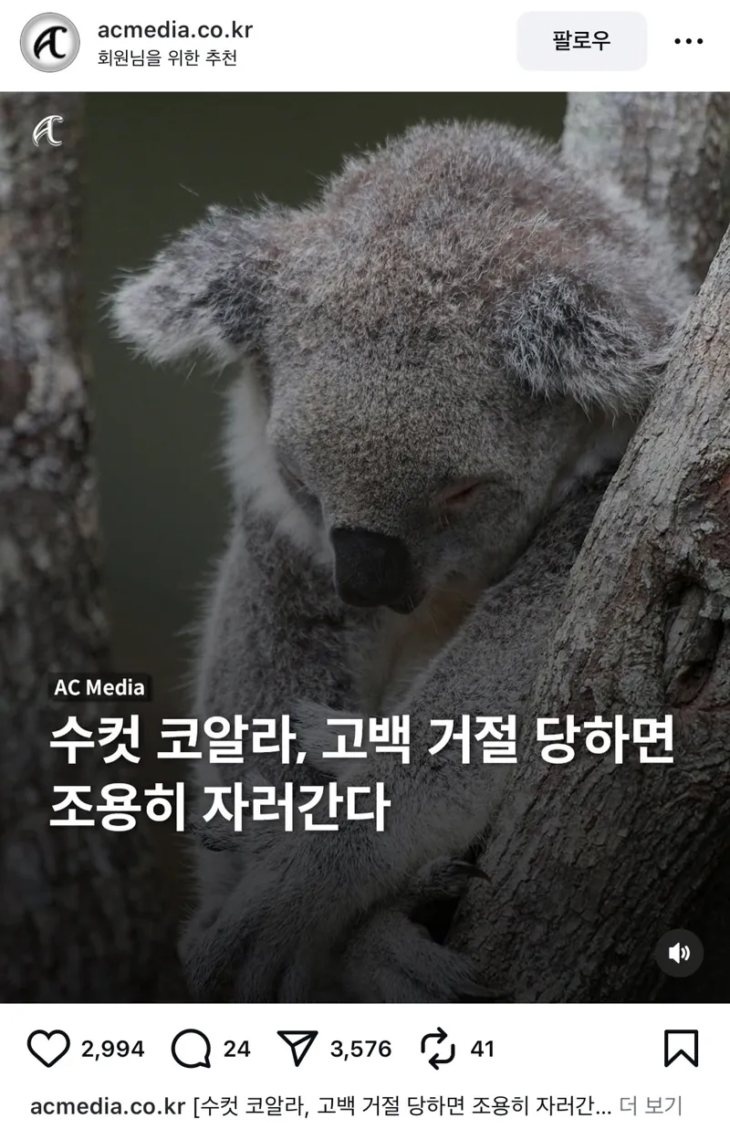 수컷 코알라가 암컷한테 까이면 하는 행동 | 인스티즈