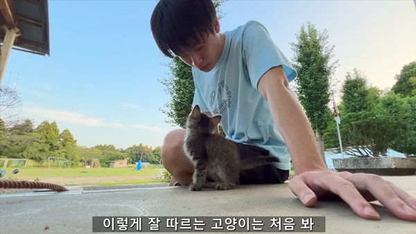 아기 고양이 냥줍했는데 반응 난리난 일본 유튜버.jpg | 인스티즈