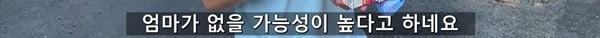 아기 고양이 냥줍했는데 반응 난리난 일본 유튜버.jpg | 인스티즈